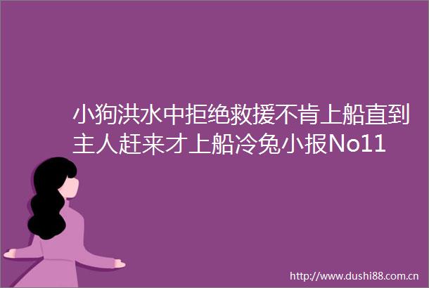 小狗洪水中拒绝救援不肯上船直到主人赶来才上船冷兔小报No1165