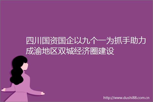 四川国资国企以九个一为抓手助力成渝地区双城经济圈建设