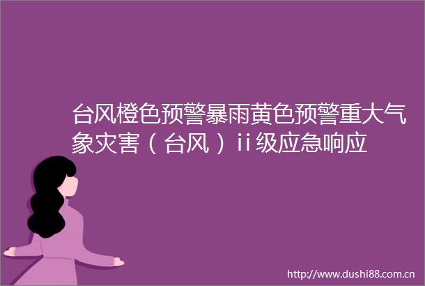 台风橙色预警暴雨黄色预警重大气象灾害（台风）ⅱ级应急响应
