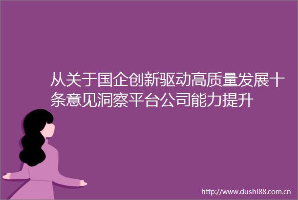 从关于国企创新驱动高质量发展十条意见洞察平台公司能力提升