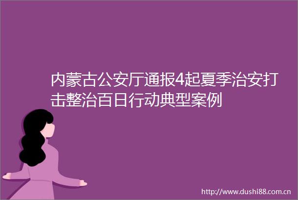 内蒙古厅通报4起夏季治安打击整治百日行动典型案例