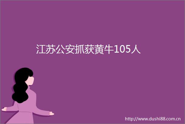 江苏抓获黄牛105人