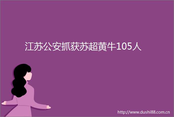 江苏抓获苏超黄牛105人