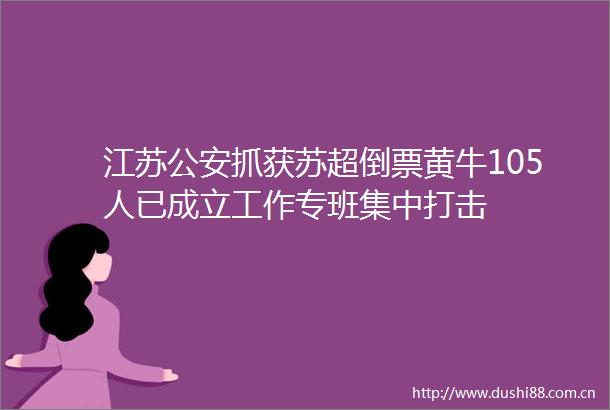 江苏抓获苏超倒票黄牛105人已成立工作专班集中打击
