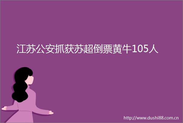江苏抓获苏超倒票黄牛105人