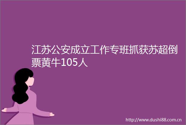 江苏成立工作专班抓获苏超倒票黄牛105人