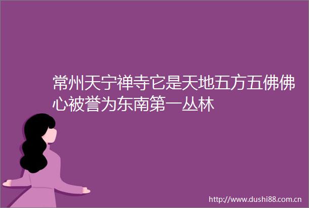 常州天宁禅寺它是天地五方五佛佛心被誉为东南第一丛林