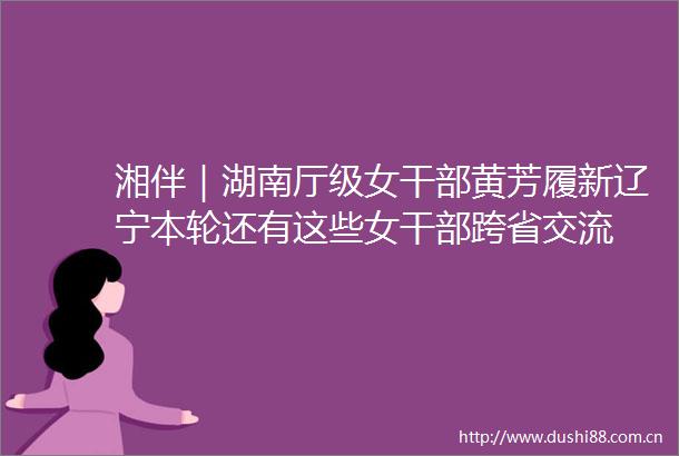 湘伴｜湖南厅级女黄芳履新辽宁本轮还有这些女跨省交流