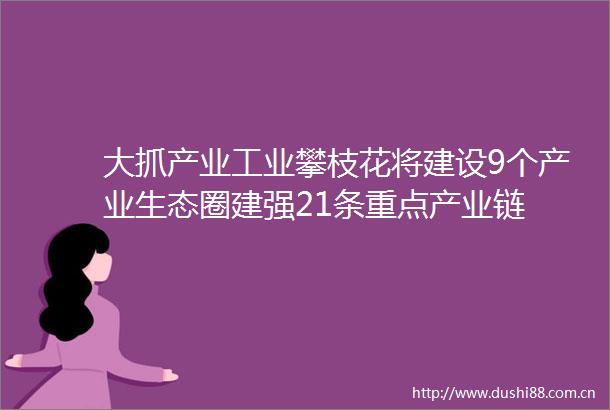 大抓产业工业攀枝花将建设9个产业生态圈建强21条重点产业链