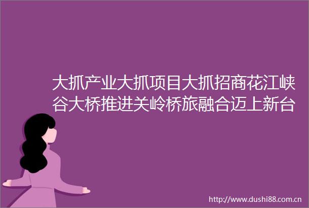 大抓产业大抓项目大抓招商花江峡谷大桥推进关岭桥旅融合迈上新台阶