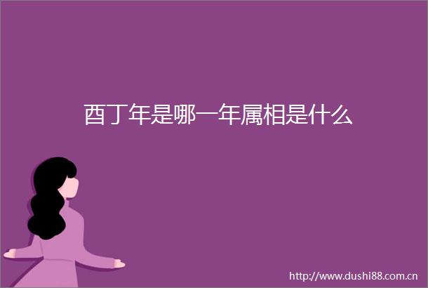 酉丁年是哪一年属相是什么