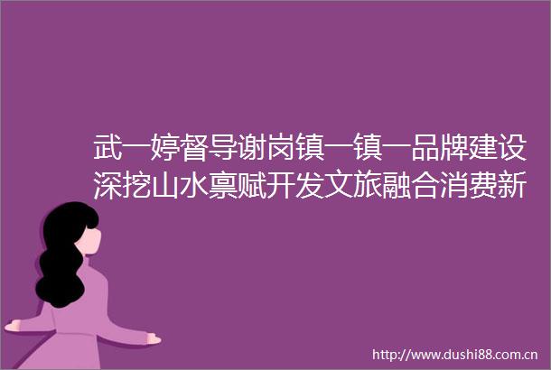 武一婷督导谢岗镇一镇一品牌建设深挖山水禀赋开发文旅融合消费新场景