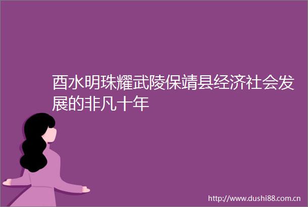 酉水明珠耀武陵保靖县经济社会发展的非凡十年