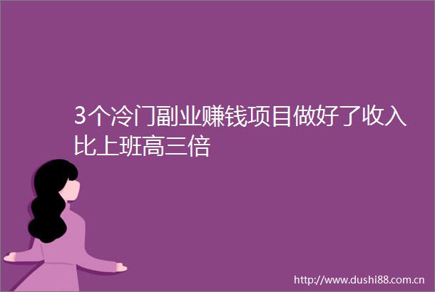 3个冷门副业赚钱项目做好了收入比上班高三倍
