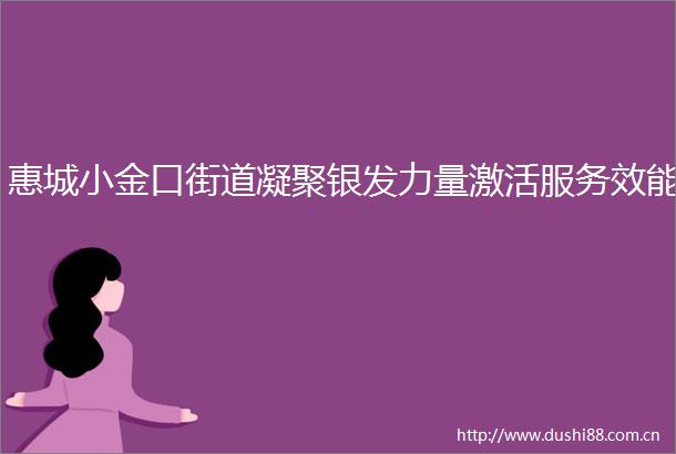 惠城小金口街道凝聚银发力量激活服务效能