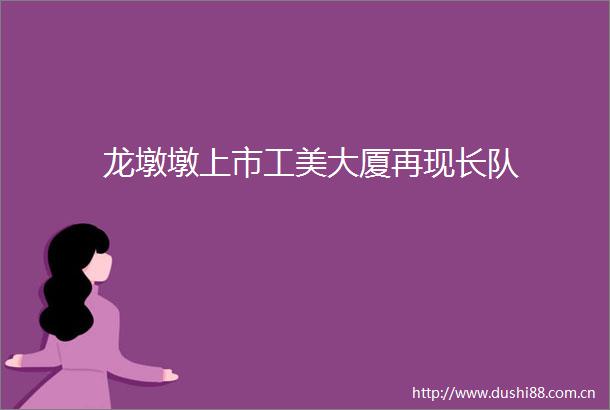 龙墩墩上市工美大厦再现长队