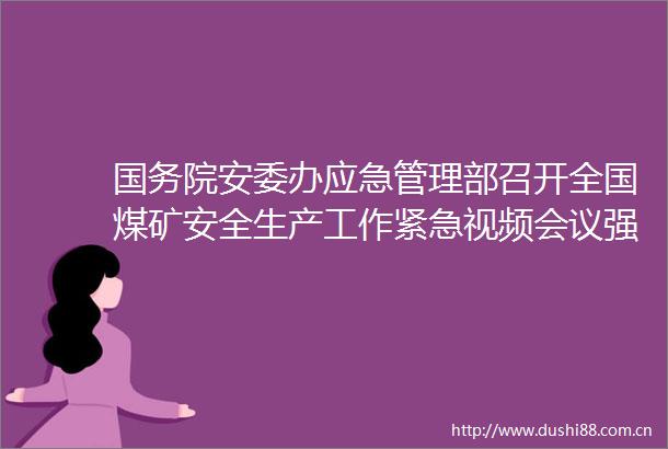 国务院安委办应急管理部召开全国煤矿安全生产工作紧急视频会议强调深刻吸取煤矿重大事故教训举一反三抓好风险防控