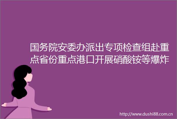 国务院安委办派出专项检查组赴重点省份重点港口开展硝酸铵等性重点管控化学品专项检查