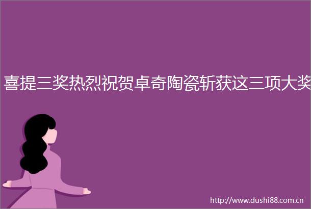 喜提三奖热烈祝贺卓奇陶瓷斩获这三项大奖