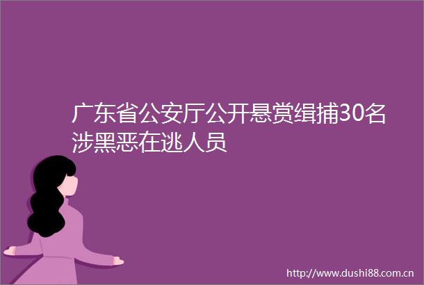 广东省厅公开悬赏缉捕30名涉在逃人员