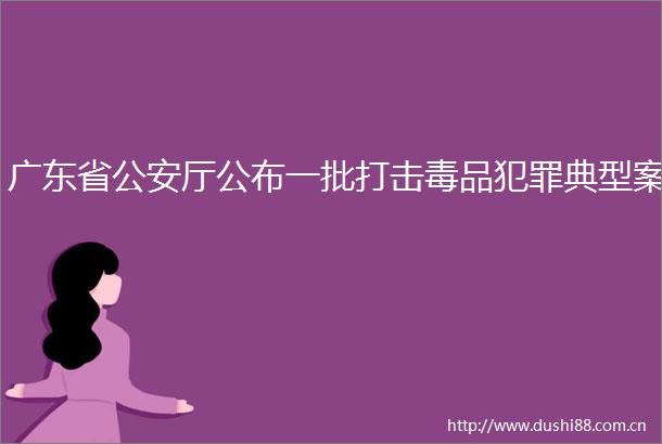 广东省厅公布一批打击毒品典型案
