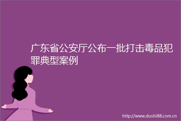 广东省厅公布一批打击毒品典型案例