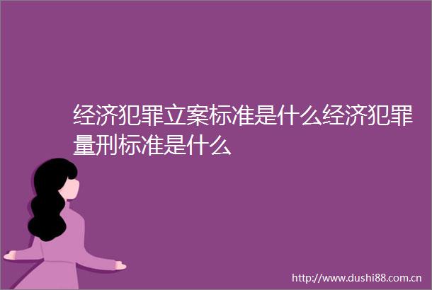 经济标准是什么经济量刑标准是什么