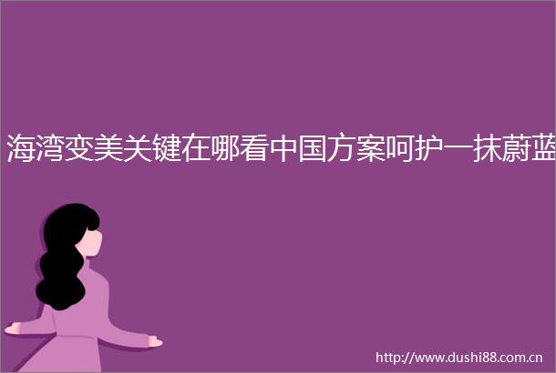 海湾变美关键在哪看方案呵护一抹蔚蓝