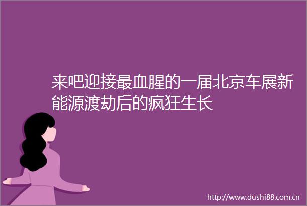 来吧迎接最血腥的一届北京车展新能源渡劫后的疯狂生长