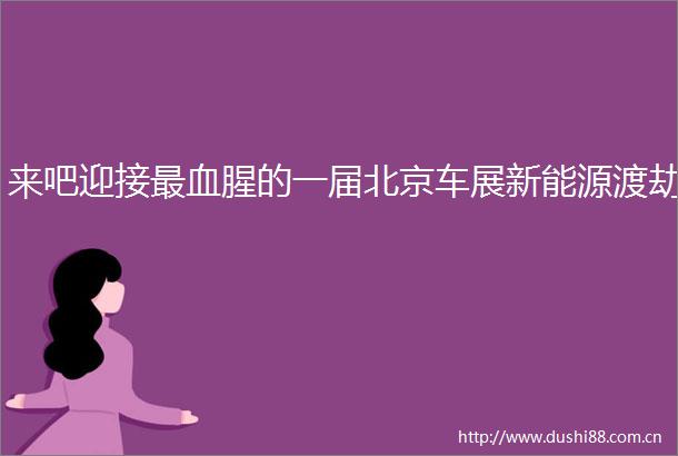 来吧迎接最血腥的一届北京车展新能源渡劫