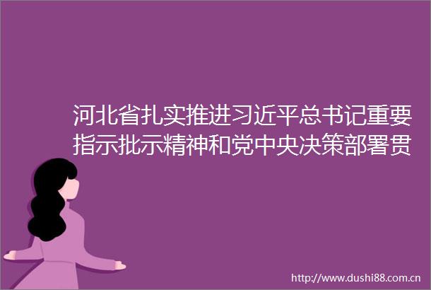 河北省扎实推进总书记重要指示批示精神和党中央决策部署贯彻落实