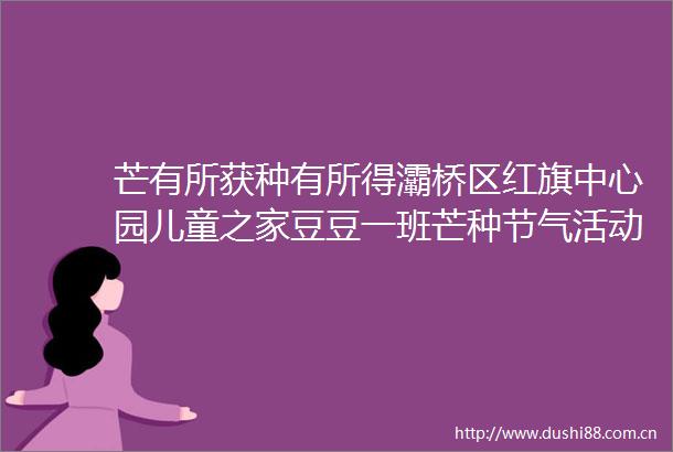 芒有所获种有所得灞桥区红旗中心园儿童之家豆豆一班芒种节气活动小记