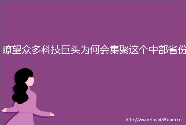 瞭望众多科技巨头为何会集聚这个中部省份