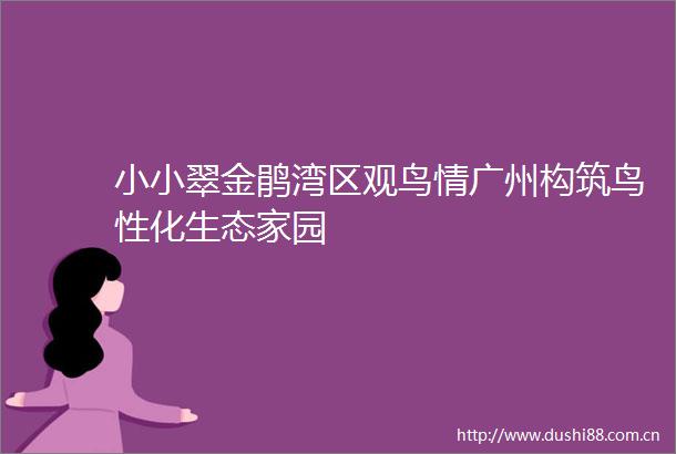 小小翠金鹃湾区观鸟情广州构筑鸟性化生态家园