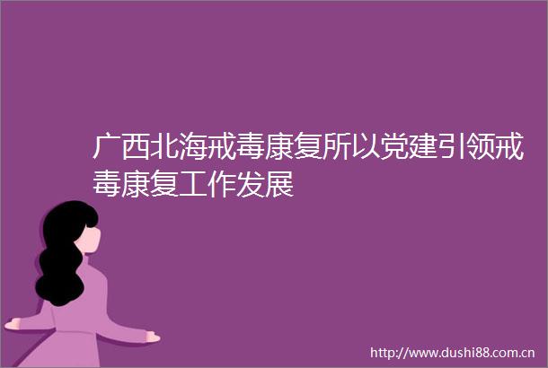 广西北海戒毒康复所以党建引领戒毒康复工作发展