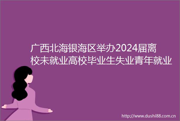 广西北海银海区举办2024届离校未就业高校毕业生失业青年就业攻坚行动招聘会