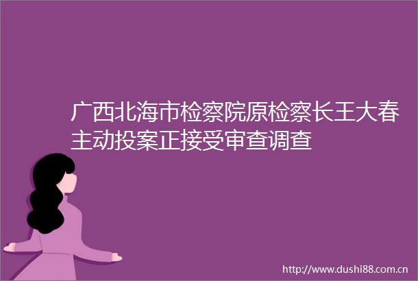 广西北海市检察院原检察长王大春主动投案正接受审查调查