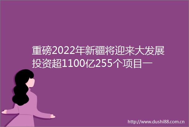 重磅2022年新疆将迎来大发展投资超1100亿255个项目一好消息让新疆人爽翻