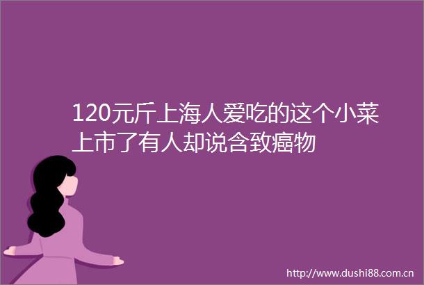 120元斤上海人爱吃的这个小菜上市了有人却说含致癌物