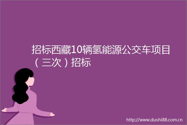 招标西藏10辆氢能源公交车项目（三次）招标