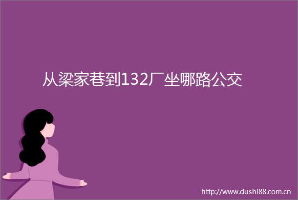 从梁家巷到132厂坐哪路公交