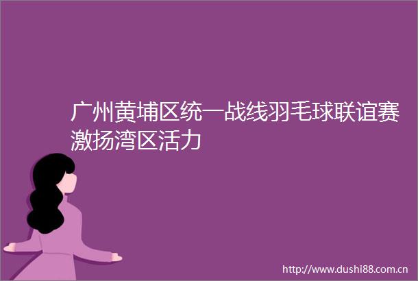 广州黄埔区统一战线羽毛球联谊赛激扬湾区活力