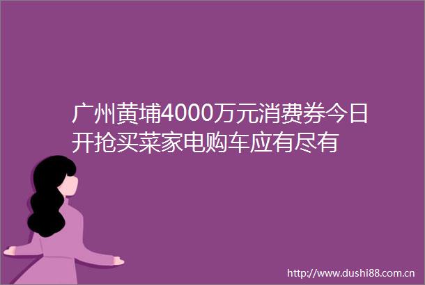 广州黄埔4000万元消费券今日开抢买菜家电购车应有尽有
