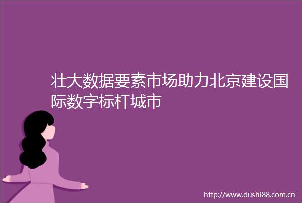 壮大数据要素市场助力北京建设国际数字标杆城市