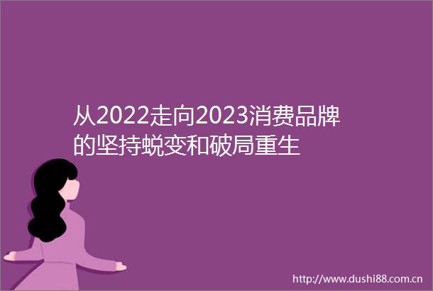 从2022走向2023消费品牌的坚持蜕变和破局重生