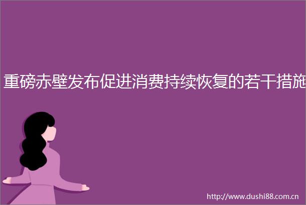 重磅赤壁发布促进消费持续恢复的若干措施