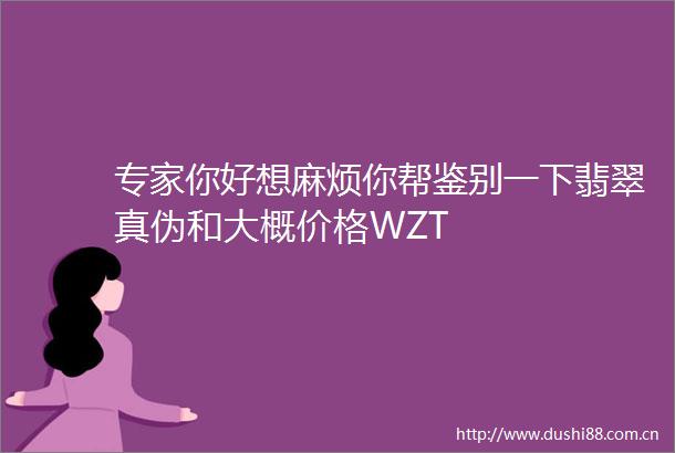专家你好想麻烦你帮鉴别一下翡翠真伪和大概价格WZT