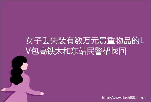 女子丢失装有数万元贵重物品的LV包高铁太和东站帮找回