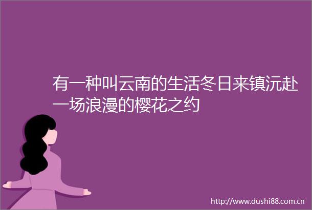有一种叫云南的生活冬日来镇沅赴一场浪漫的樱花之约
