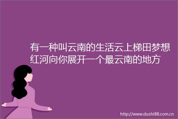 有一种叫云南的生活云上梯田梦想红河向你展开一个最云南的地方